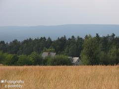 IMG_2312.jpg