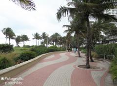 IMG_3005.jpg