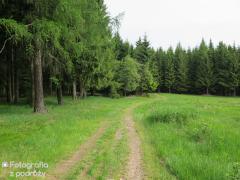 Rudawy Janowickie 2016 (11.06.2016)