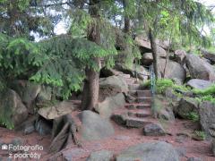 IMG_6619.jpg