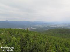 IMG_6621.jpg
