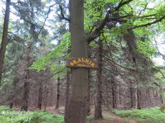 IMG_6646.jpg