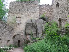 IMG_6659.jpg