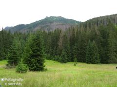 Zakopane 2009