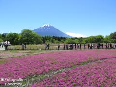 IMG_3569.jpg