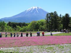 IMG_3577.jpg
