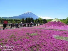 IMG_3583.jpg