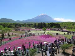 IMG_3607.jpg