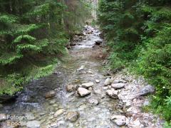 IMG_0280.jpg