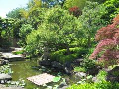 IMG_3733.jpg