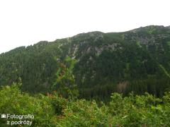 IMG_0297.jpg