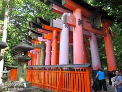IMG_3975.jpg