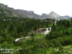 IMG_0321.jpg