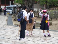 IMG_4374.jpg