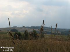 IMG_2315.jpg