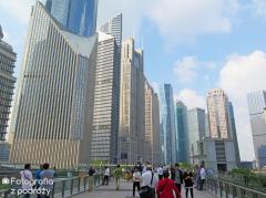 IMG_4633.jpg