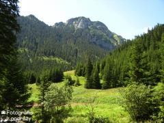 IMG_0417.jpg