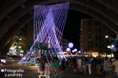 IMG_1715.jpg