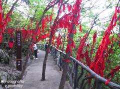 IMG_4816.jpg