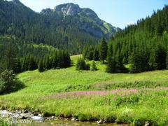 IMG_0419.jpg