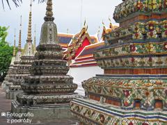 IMG_5944.jpg