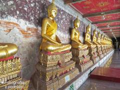 IMG_6267.jpg