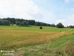 IMG_6751.jpg