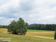 IMG_6758.jpg