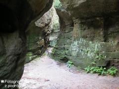 IMG_6795.jpg