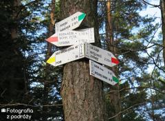 Beskid Makowski 2016 (20.11.2016)