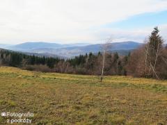 IMG_6825.jpg