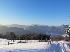 IMG_6900.jpg