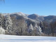 IMG_6928.jpg