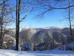 IMG_6937.jpg