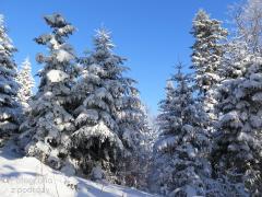 IMG_6951.jpg