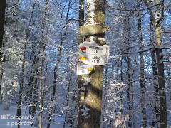 IMG_6953.jpg