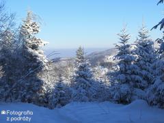 IMG_6956.jpg