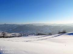 IMG_6964.jpg