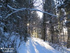IMG_6969.jpg