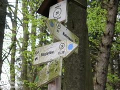 IMG_7090.jpg