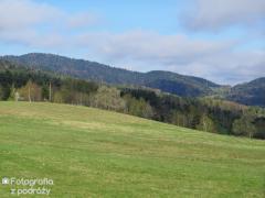IMG_7111.jpg