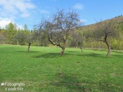 IMG_7140.jpg