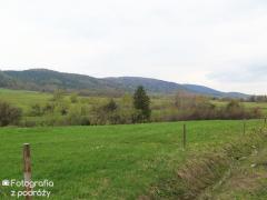 IMG_7292.jpg
