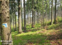 Trzcińsko 2017 (06.05.2017 - 07.05.2017)