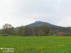 IMG_7303.jpg