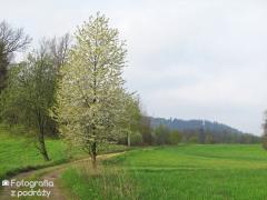 IMG_7313.jpg