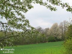 IMG_7347.jpg