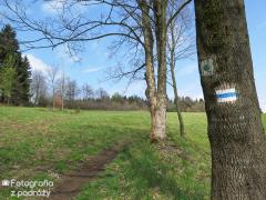IMG_7362.jpg