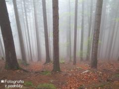 IMG_7388.jpg
