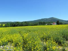 Góry Opawskie 2017 (28.05.2017)